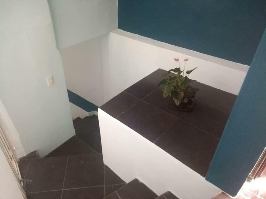 Casa Habitacion Guanajuato Eksteriør bilde